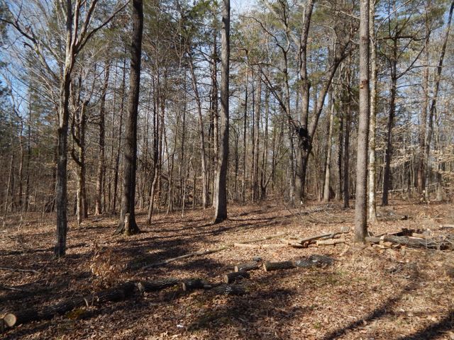 0 Ian Dr, Clifton, TN 38425