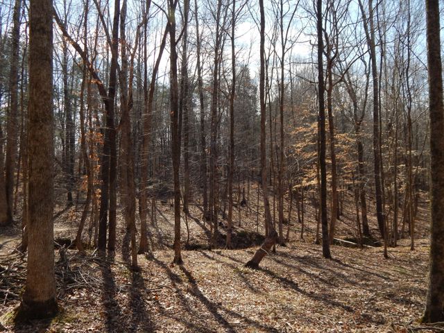 0 Ian Dr, Clifton, TN 38425