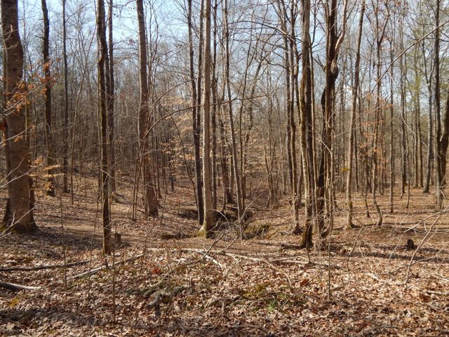 0 Ian Dr, Clifton, TN 38425