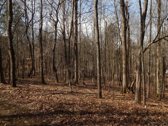 0 Ian Dr, Clifton, TN 38425