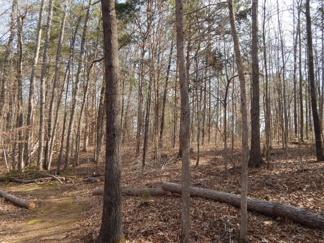 0 Ian Dr, Clifton, TN 38425