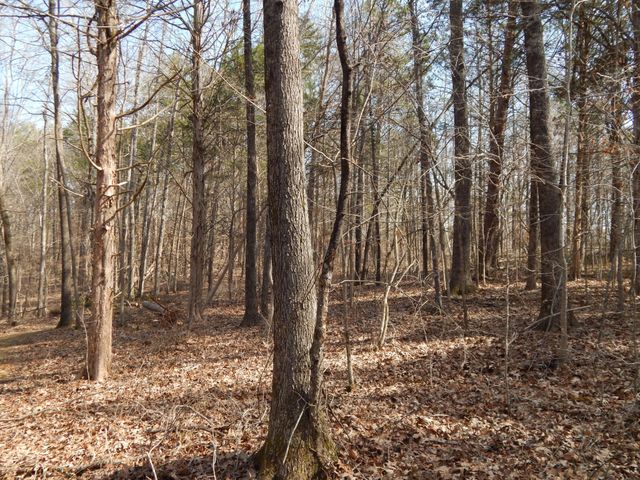 0 Ian Dr, Clifton, TN 38425