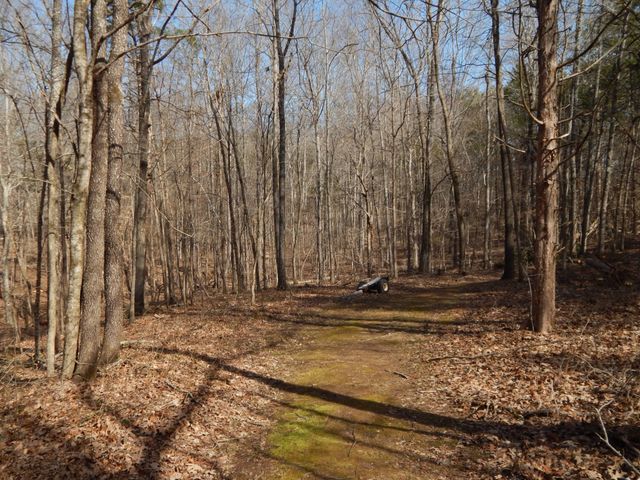 0 Ian Dr, Clifton, TN 38425