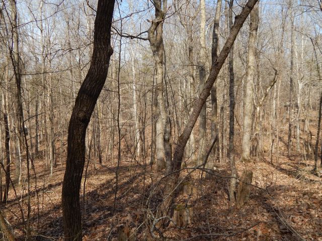 0 Ian Dr, Clifton, TN 38425