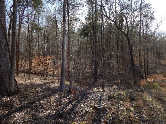 0 Ian Dr, Clifton, TN 38425