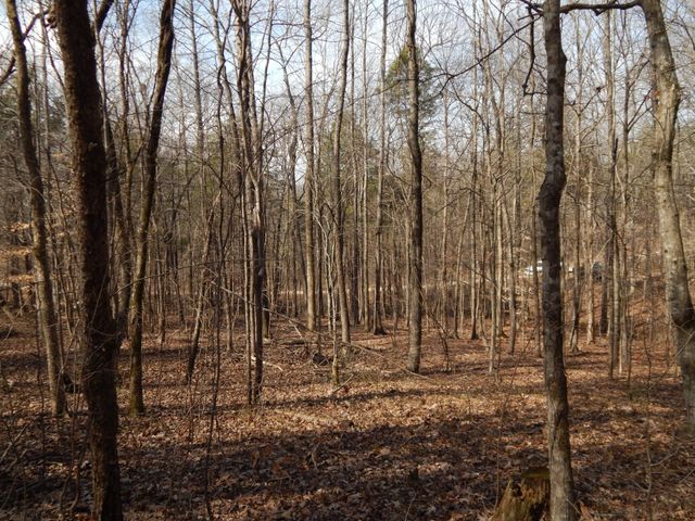 0 Ian Dr, Clifton, TN 38425