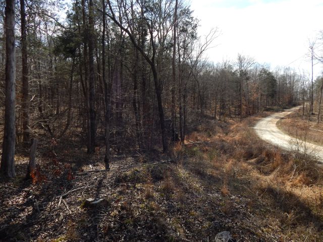 0 Ian Dr, Clifton, TN 38425