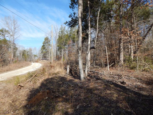 0 Ian Dr, Clifton, TN 38425