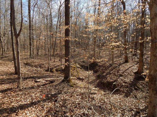 0 Ian Dr, Clifton, TN 38425