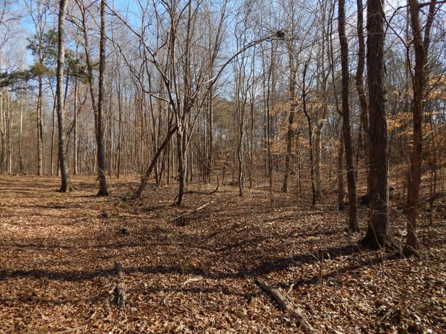 0 Ian Dr, Clifton, TN 38425