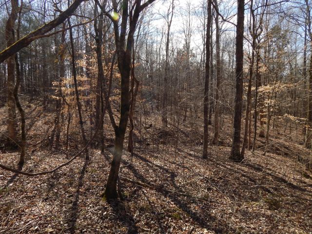 0 Ian Dr, Clifton, TN 38425