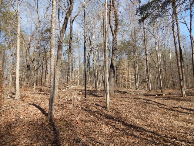 0 Ian Dr, Clifton, TN 38425