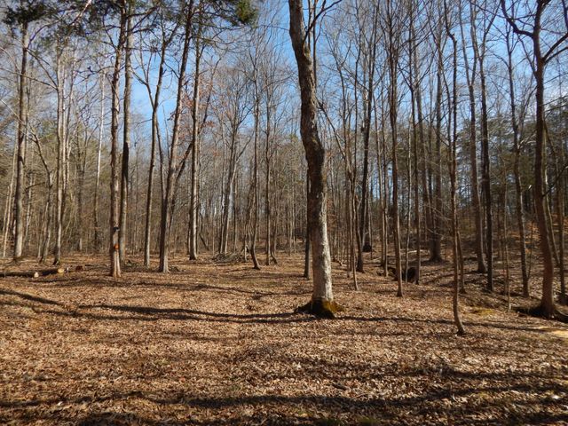 0 Ian Dr, Clifton, TN 38425