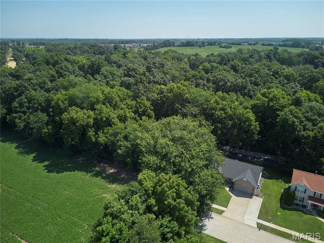 2062 Great Oaks Valley Drive, Wentzville, MO 63385