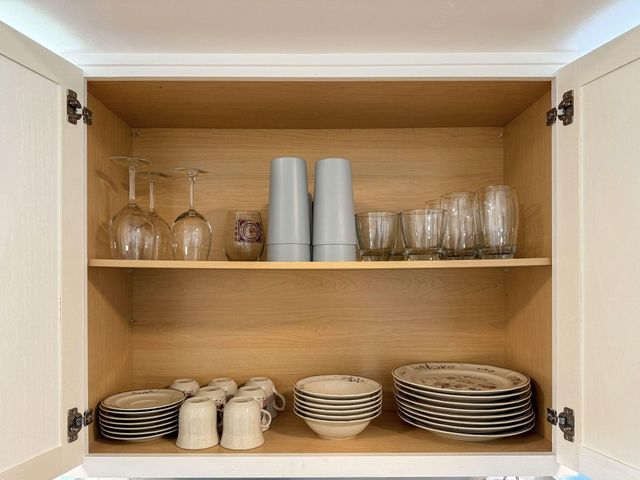 1462 E Mcdaniel Street, Springfield, MO 65802