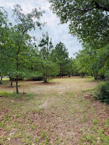 TBD Buckhorn DR, Bastrop, TX 78602