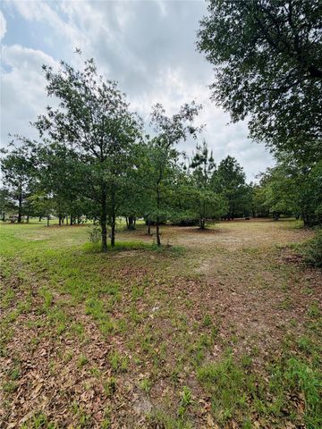 TBD Buckhorn DR, Bastrop, TX 78602