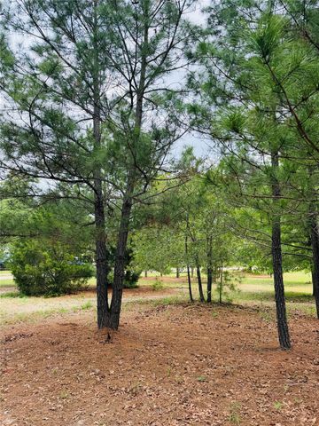 TBD Buckhorn DR, Bastrop, TX 78602