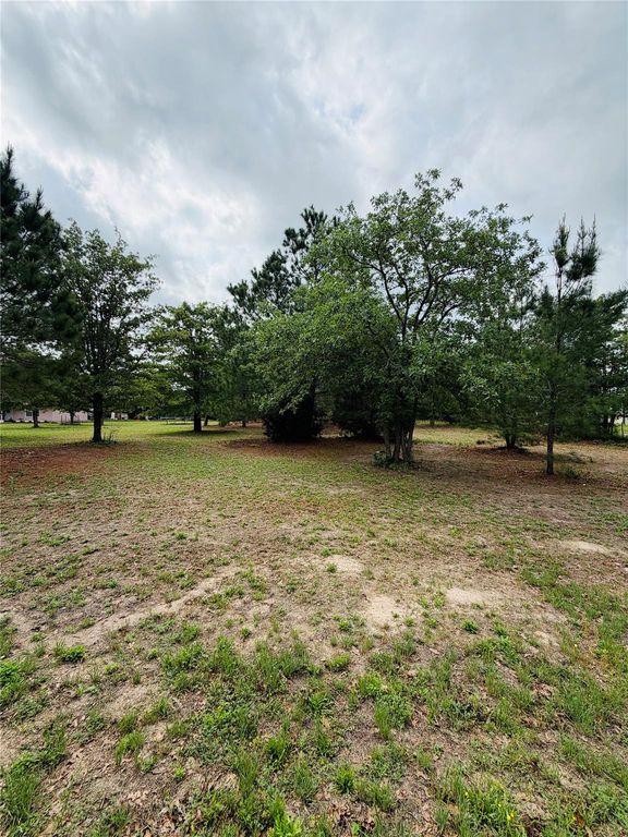 TBD Buckhorn DR, Bastrop, TX 78602