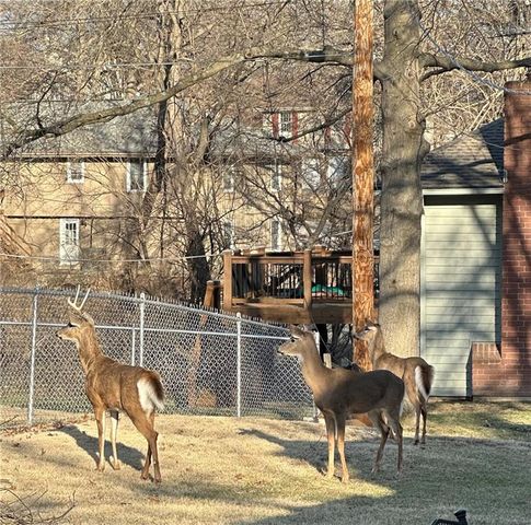 920 W 100 Street, Kansas City, MO 64114
