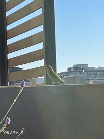 2300 E CAMPBELL Avenue 405, Phoenix, AZ 85016