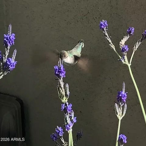 2300 E CAMPBELL Avenue 405, Phoenix, AZ 85016