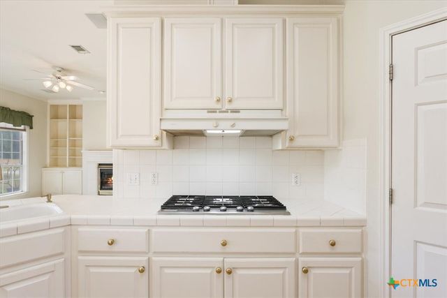 909 Paint Brush Lane, Temple, TX 76502