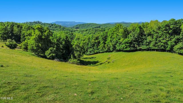 27363 Fudge Road, Meadowview, VA 24361