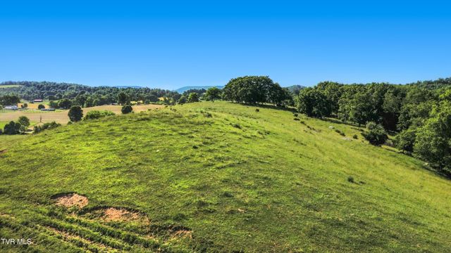 27363 Fudge Road, Meadowview, VA 24361