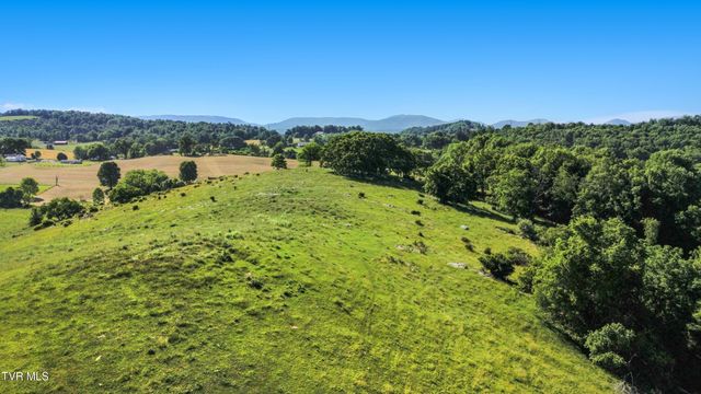 27363 Fudge Road, Meadowview, VA 24361