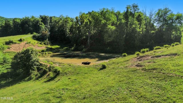 27363 Fudge Road, Meadowview, VA 24361