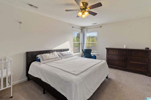 22873 DOWNING PARK CIRCLE, Mccalla, AL 35111