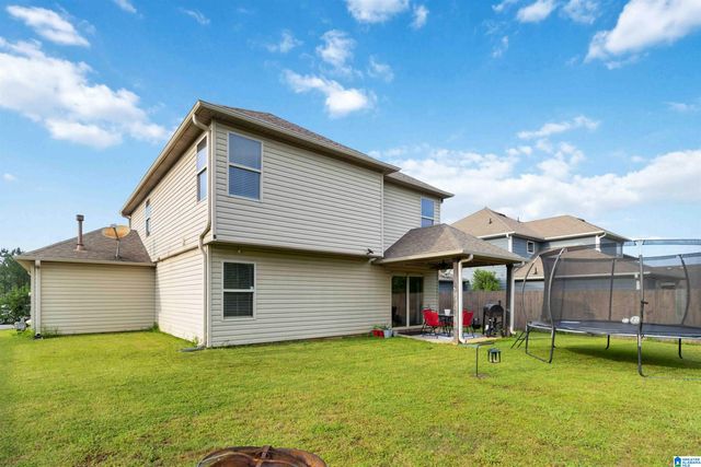 22873 DOWNING PARK CIRCLE, Mccalla, AL 35111