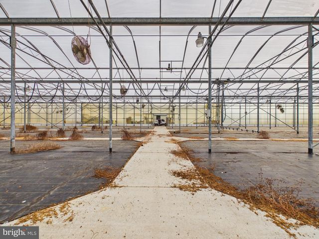 8416 HARMONY RD, Denton, MD 21629