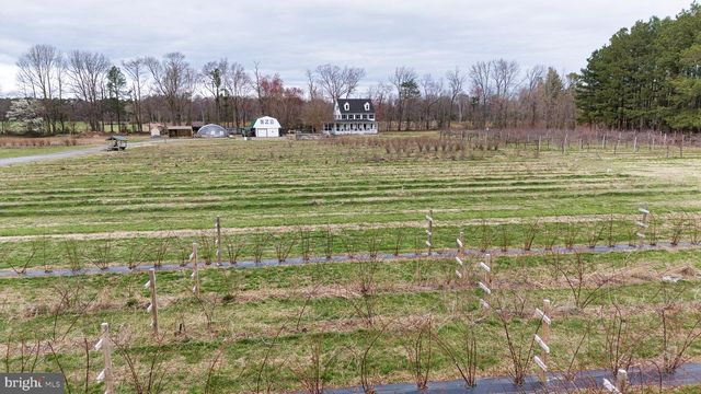 8416 HARMONY RD, Denton, MD 21629