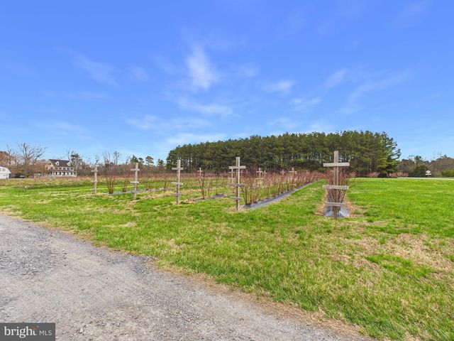 8416 HARMONY RD, Denton, MD 21629