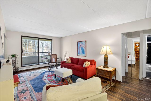 1 David Lane 4 C, Yonkers, NY 10701