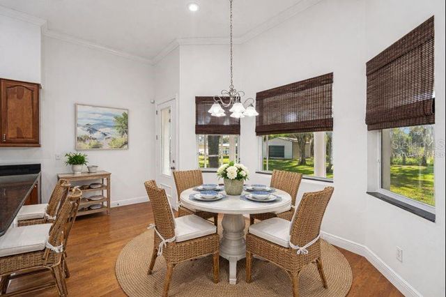 11008 NEST COURT, Odessa, FL 33556