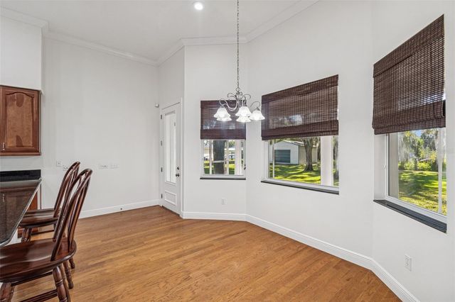 11008 NEST COURT, Odessa, FL 33556