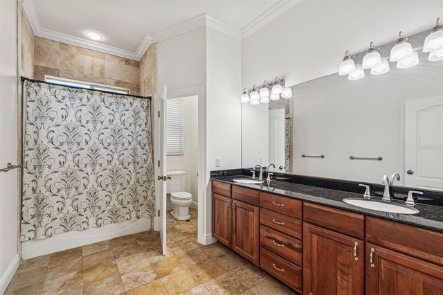 11008 NEST COURT, Odessa, FL 33556