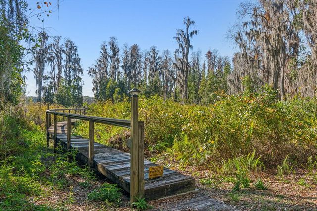 11008 NEST COURT, Odessa, FL 33556