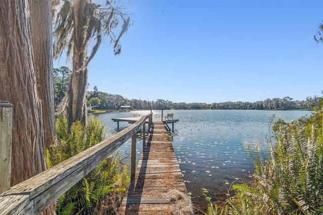 11008 NEST COURT, Odessa, FL 33556