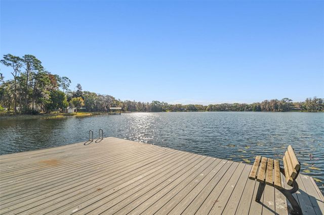 11008 NEST COURT, Odessa, FL 33556