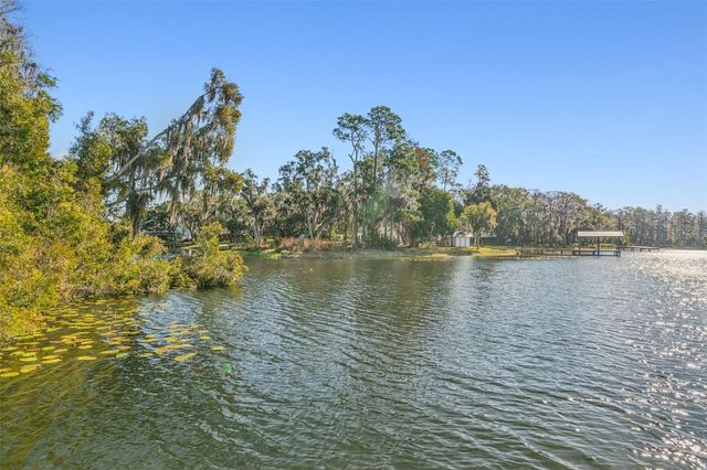 11008 NEST COURT, Odessa, FL 33556