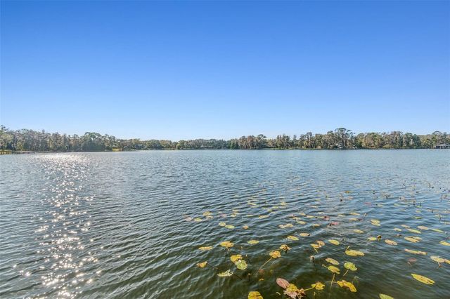 11008 NEST COURT, Odessa, FL 33556