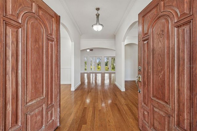 11008 NEST COURT, Odessa, FL 33556