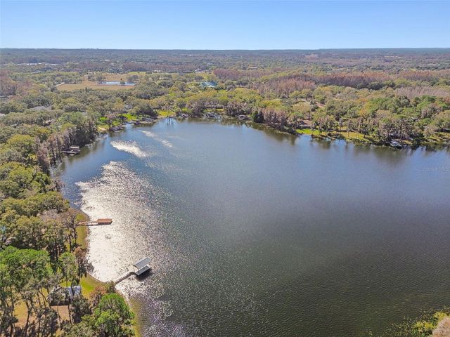 11008 NEST COURT, Odessa, FL 33556