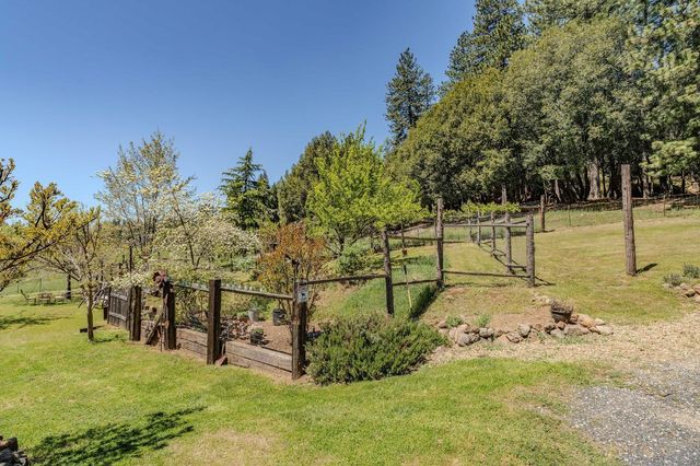 25624 Sherwood Dr, Pioneer, CA 95666