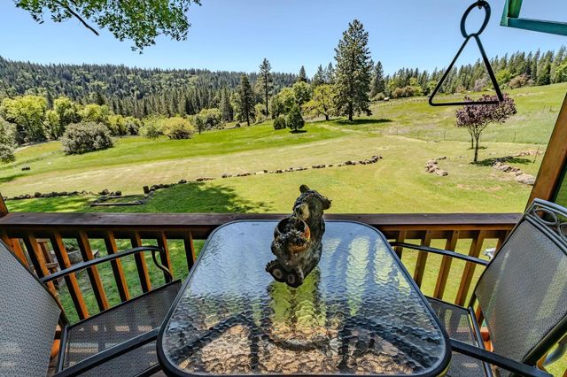 25624 Sherwood Dr, Pioneer, CA 95666