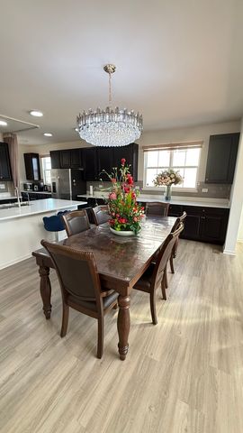 16143 S Lakeview Road, Plainfield, IL 60586